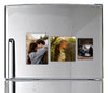 Fridge Magnets