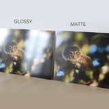 7x7(Small/Square) Photobook